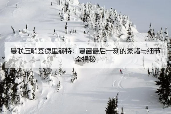 曼联压哨签德里赫特：夏窗最后一刻的豪赌与细节全揭秘