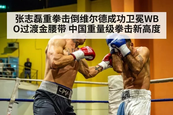 张志磊重拳击倒维尔德成功卫冕WBO过渡金腰带 中国重量级拳击新高度
