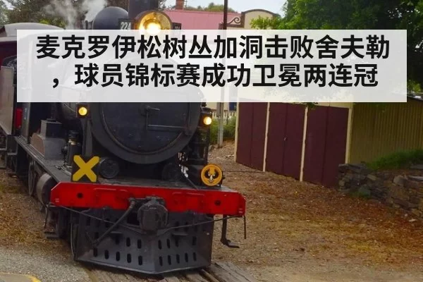 麦克罗伊松树丛加洞击败舍夫勒，球员锦标赛成功卫冕两连冠